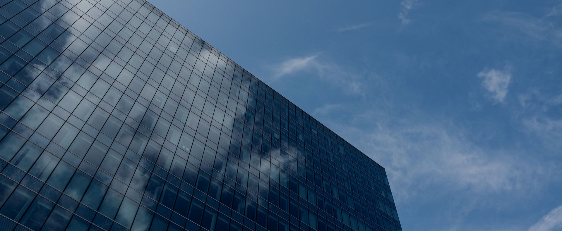 抖圈(中国)为du而生